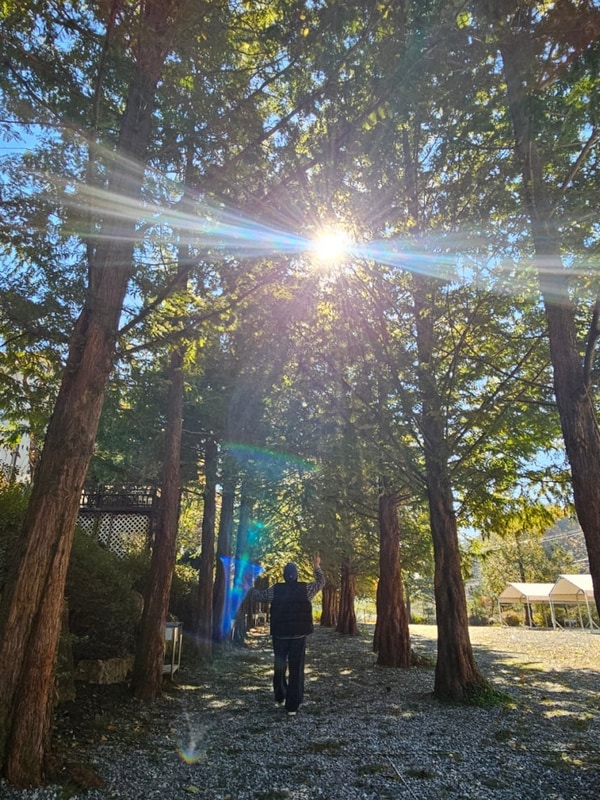 더좋은날n캠핑 세가족 사이트 상세 후기 명당 자리 추천