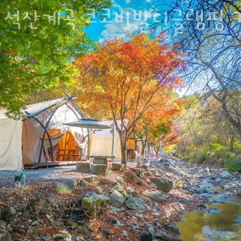 홍천캠핑장 석산계곡 코코비발디글램핑 카라반 오토캠핑장...