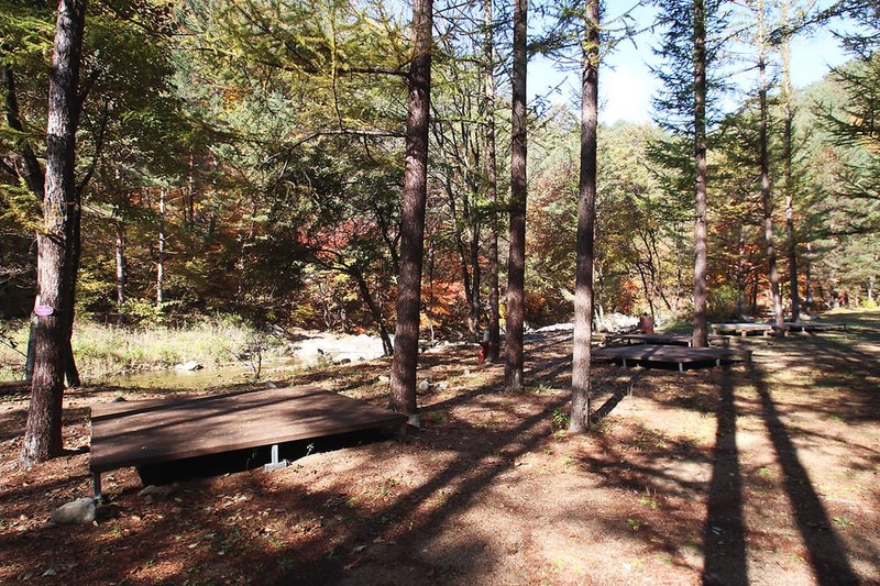 금강송 체험 야영장 시설 사진 14