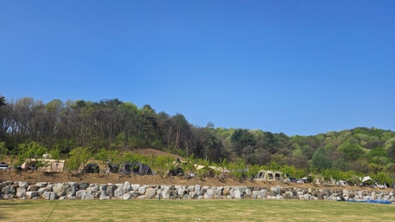 홍천 세이지힐 오토캠핑장 솔직 후기