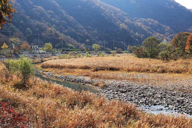 우리오토캠핑장 시설 사진 3