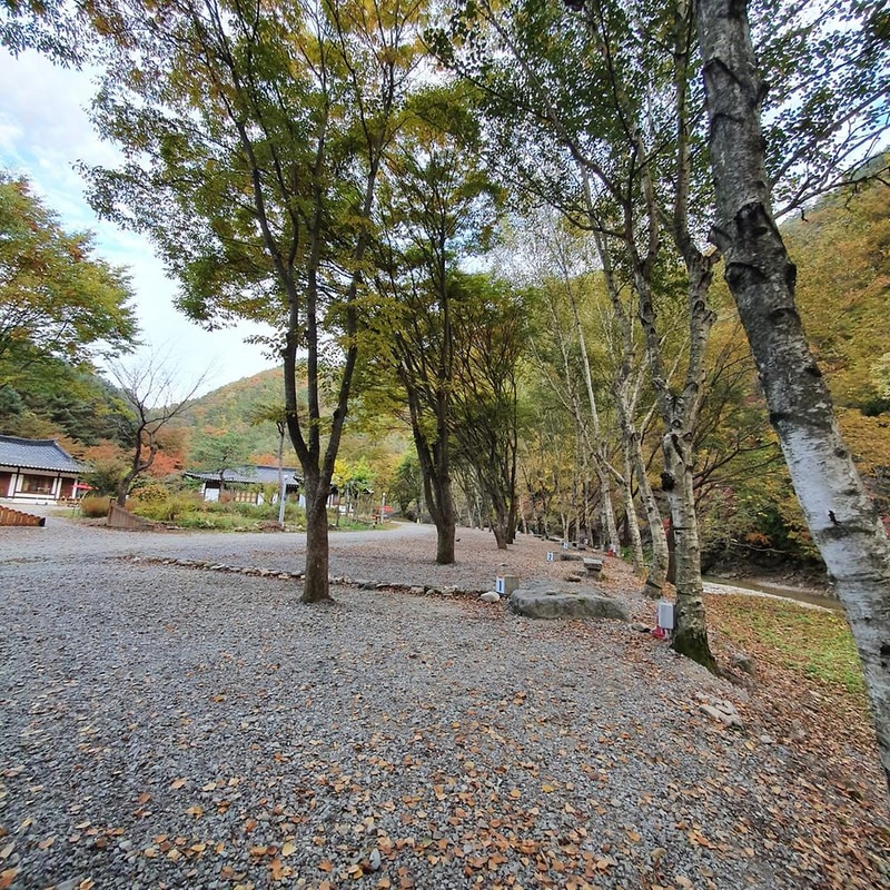 강원 홍천 알프스밸리 캠핑나라 글램독 시설 사진 1