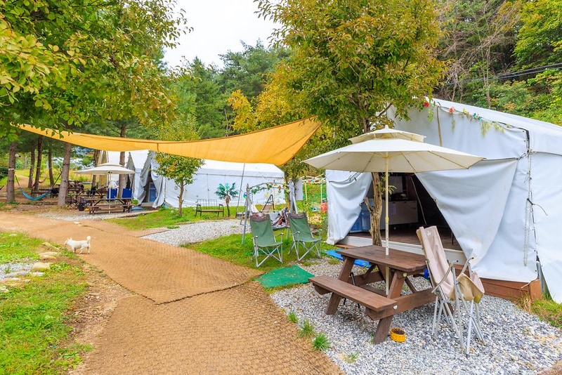 수피아글램핑펜션 시설 사진 13