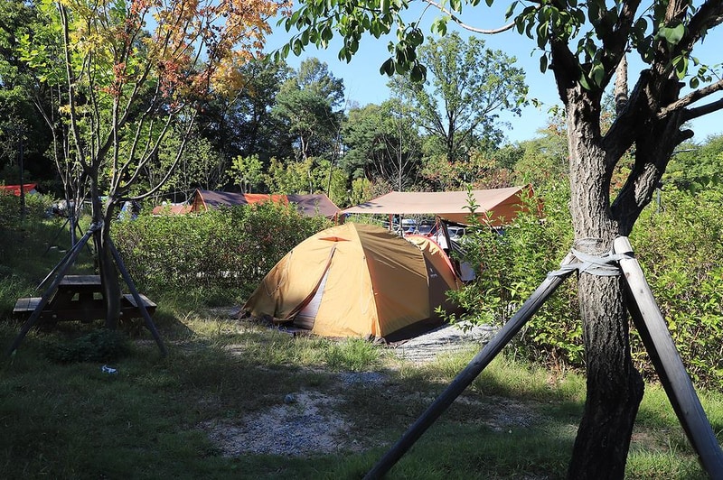 초안산캠핑장 시설 사진 15