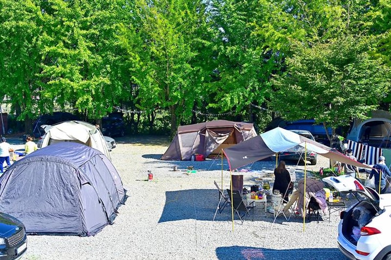 가고파캠핑장 대표 사진