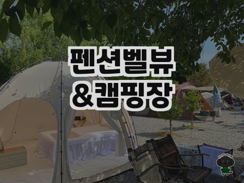 평창 흥정계곡의 힐링 명소, 펜션벨뷰&캠핑장 솔직후기✨