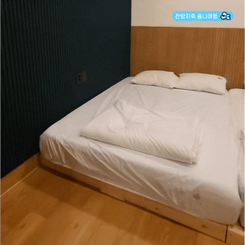 전남 담양 숙소 선인장 호스텔 트리플룸 글램핑 카라반 감성...