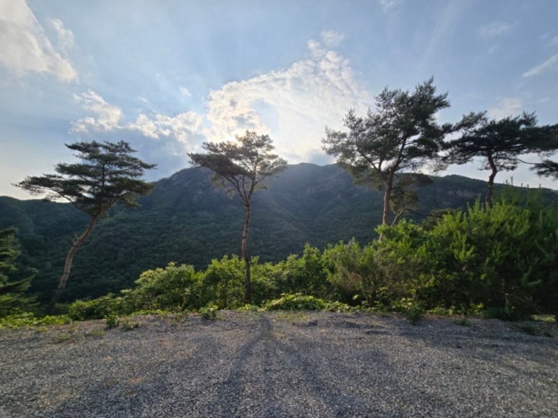 있는 '단양 파인 카라반 캠핑장’ 902호 가성비 좋아요...