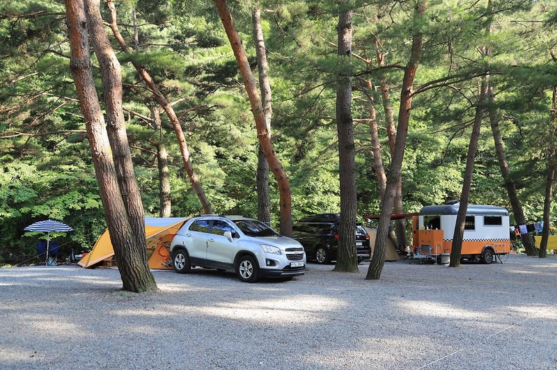 솔밭 캠프장 시설 사진 12