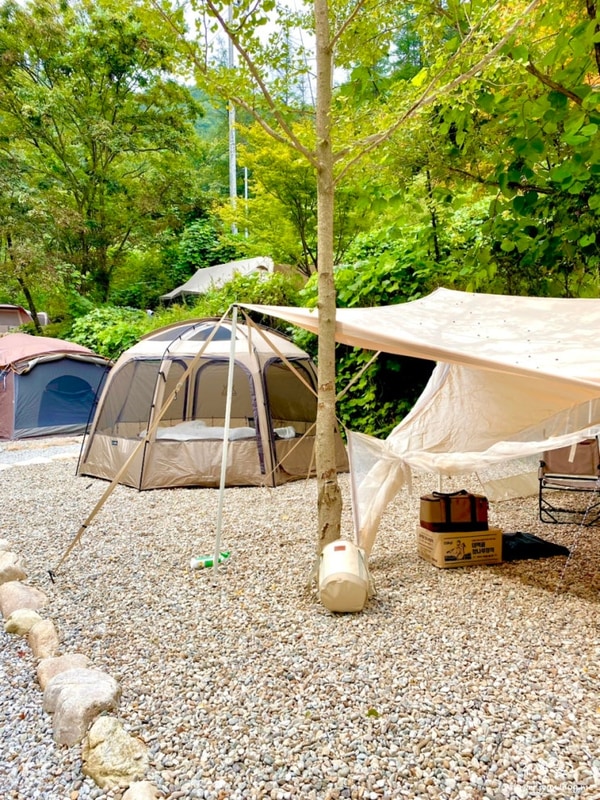 서울근교캠핑장 양평 계곡캠핑장 글렌252