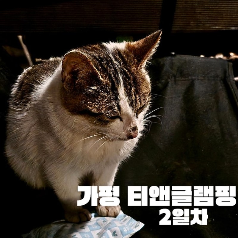 가평 꽃넘이마을 티앤글램핑2일차