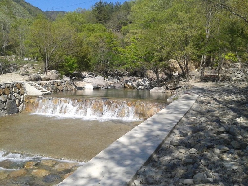 빛 생명 숲 사지목 시설 사진 12