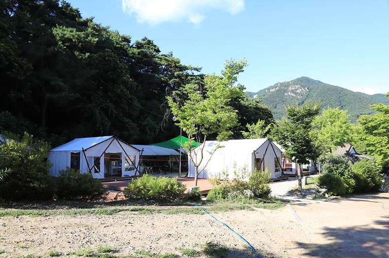 용문산관광지 야영장 대표 사진