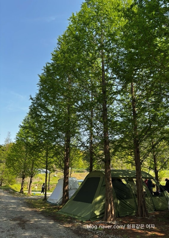 [더힐링식물원 야영장]... 떠나기 좋은 계절 5월, 홍성캠핑장 추천