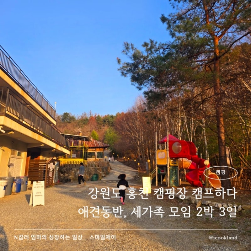 홍천 애견동반 캠핑장 캠프하다 산속 요새에서 즐긴 2박 3일