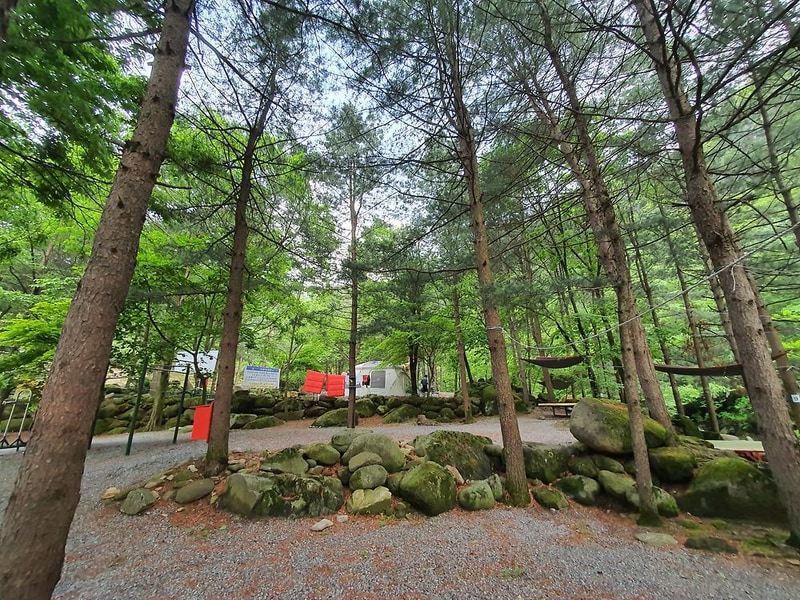 단양 천동계곡 캠핑장 그린농원 시설 사진 27