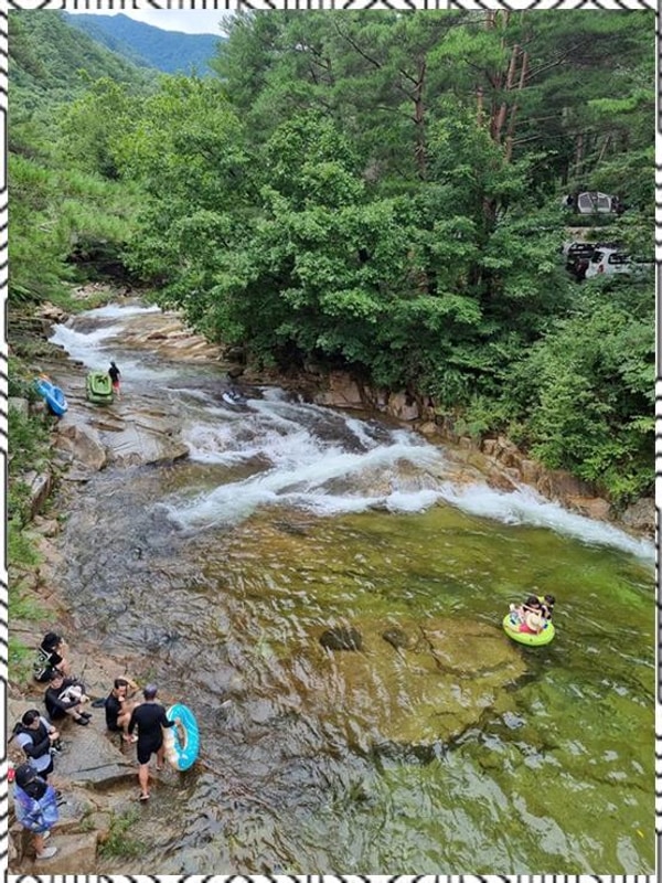법흥계곡펜션 자연 속 힐링! 영월 소나무와계곡캠핑장 방문기