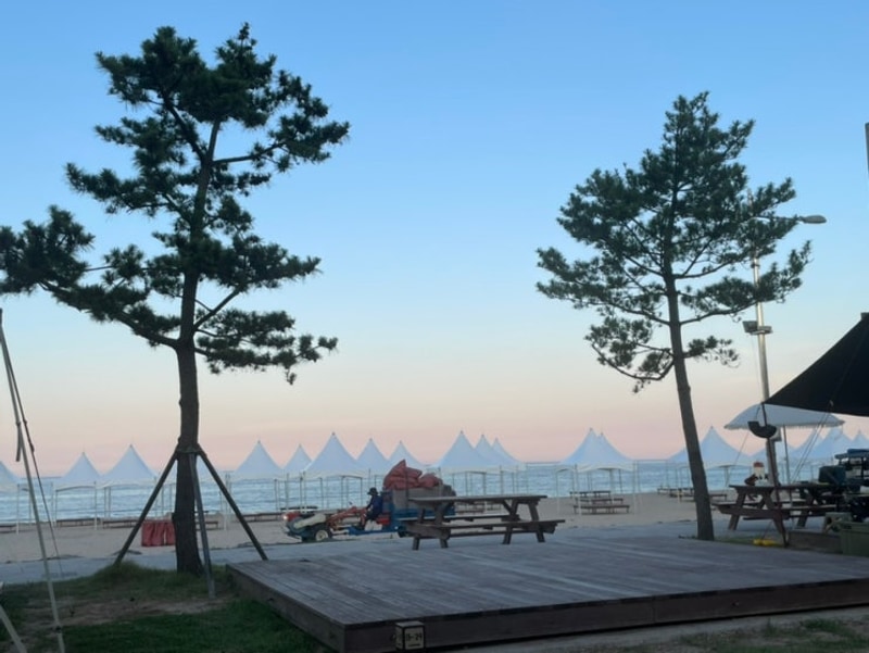 아쉬운 여름 고성 오호캠핑장 B-17 송지호해수욕장