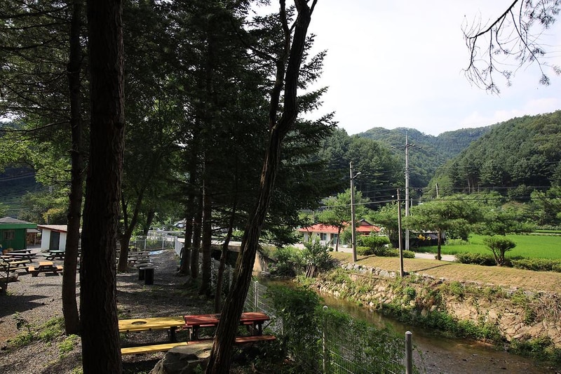 횡성 노다지야영장 불타는 삼촌 시설 사진 20