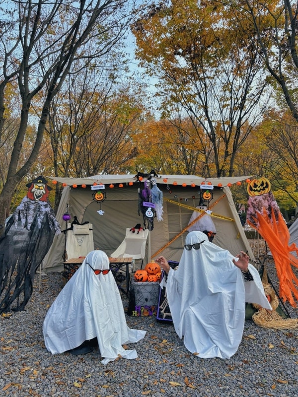 [영월] 다그린 캠핑장 가을 단풍 할로윈 캠핑  드럼열차까지...