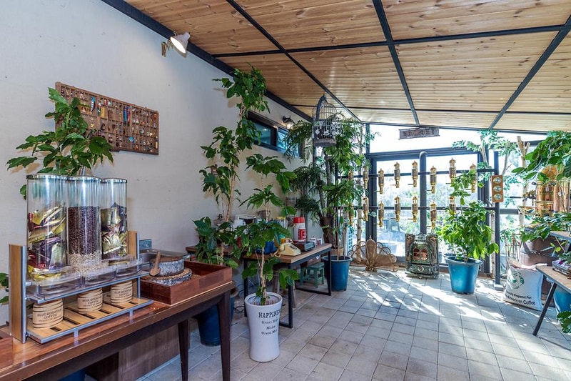 충주커피박물관 글램핑카라반펜션 시설 사진 15