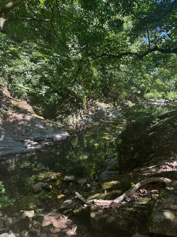 [7월 가평여행] 가평여행 1일차, 가평 그라티아 글램핑...