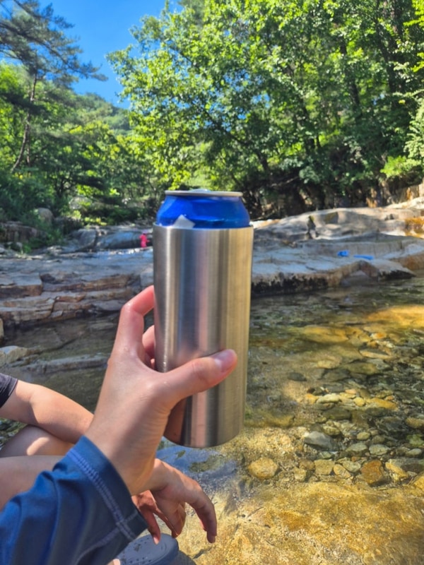 강원도 영월 소나무와 계곡 캠핑장