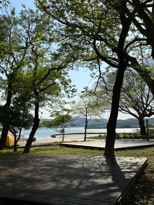 [남해 힐링국민여가캠핑장] 바닷가, 나무숲속 캠핑장 추천