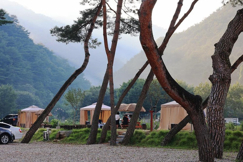 칠봉 송정 캠핑장 시설 사진 26