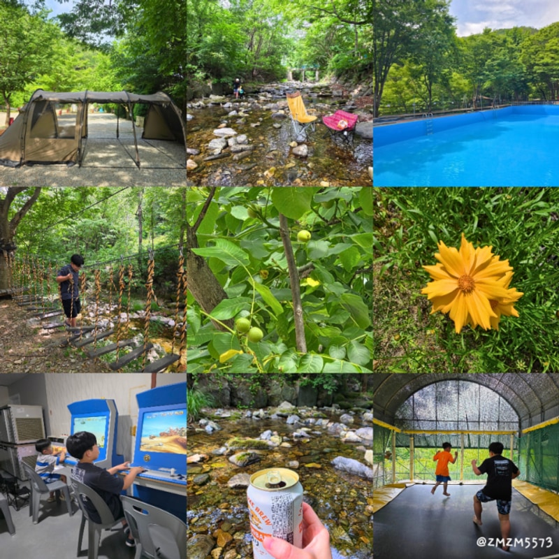 천안 호두나무캠핑장 사이트 부대시설 계곡캠핑 수영장