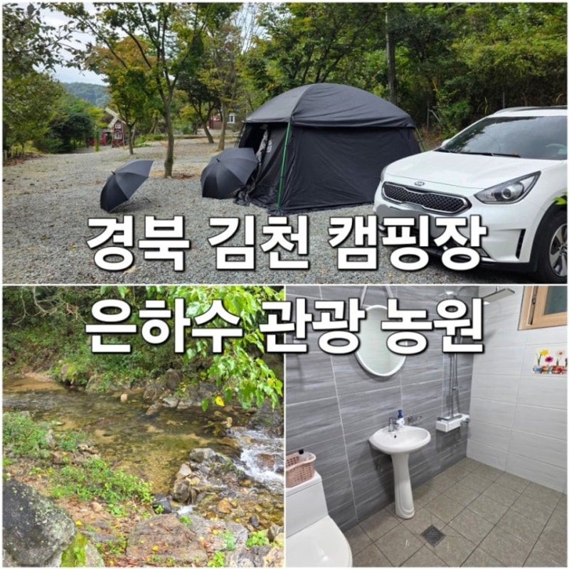 경북 김천 은하수관광농원 개별 화장실 계곡 캠핑장 후기