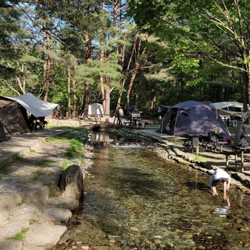 제천 월악산 용하야영장 국립공원 계곡과 수로가 있는 물놀이...