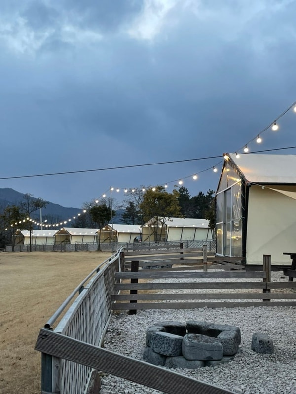 전남 글램핑장 추천 애견동반 가능한 장흥 캠핑장 땡땡이글램핑