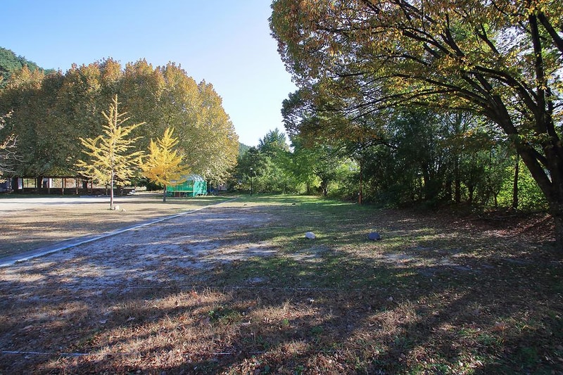 룰루랄라 체험 캠핑장 시설 사진 9