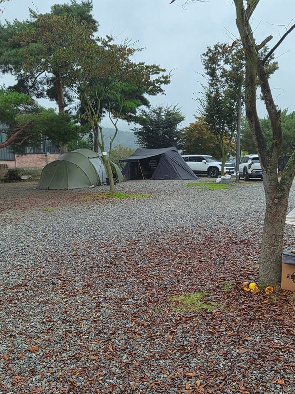 안성 '히든캠프'