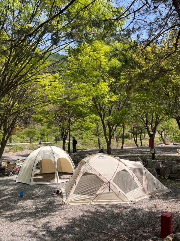 아이들이랑 영월 뜨란솔 캠핑장 기록하기 -2 : 영월 한반도...