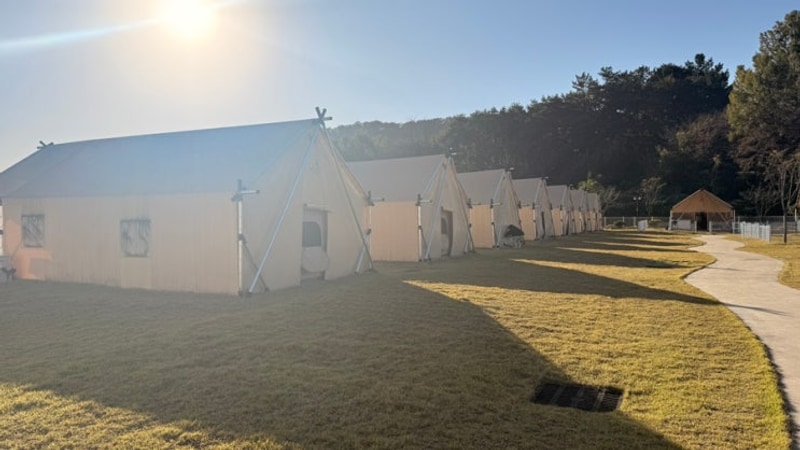 대구근교여행 칠곡 반려견동반 글램핑 왜관 하이스트 글램핑장