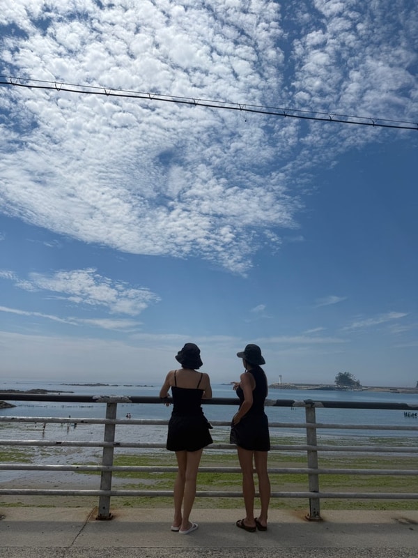 태안 어은돌 송림캠핑장, 가족과 함께하는 자연 속 힐링 캠핑...