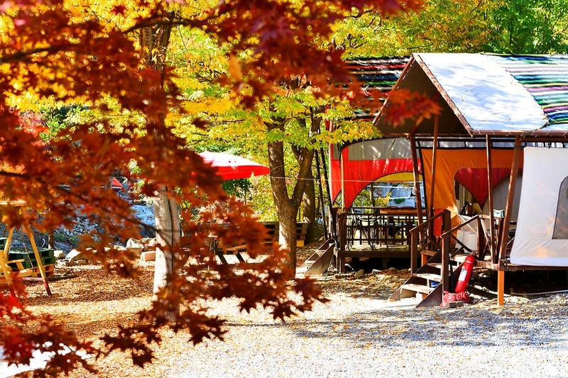 알파고글램핑 시설 사진 13