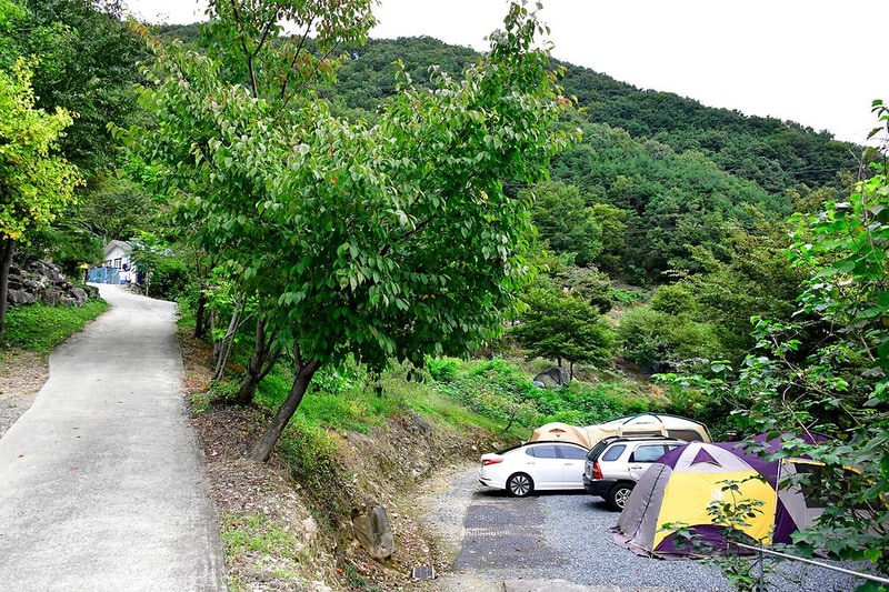 서당골캠핑장 시설 사진 8