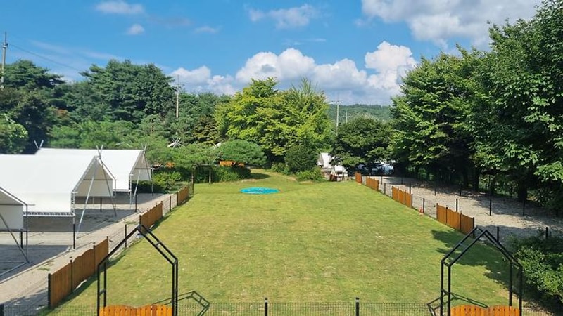 민트초코캠핑장 대표 사진