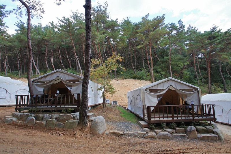 오아시스글램핑 시설 사진 12