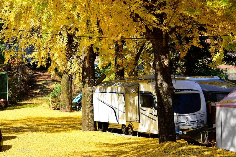 자이언트레저 시설 사진 3