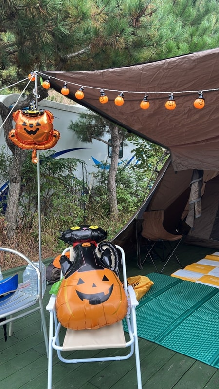 포천 캠핑 추천, 초보 캠핑러 청계호수자작나무 숲 캠핑장...