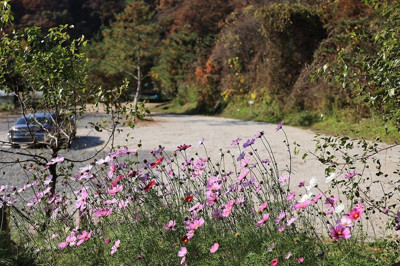 라곰 시설 사진 7