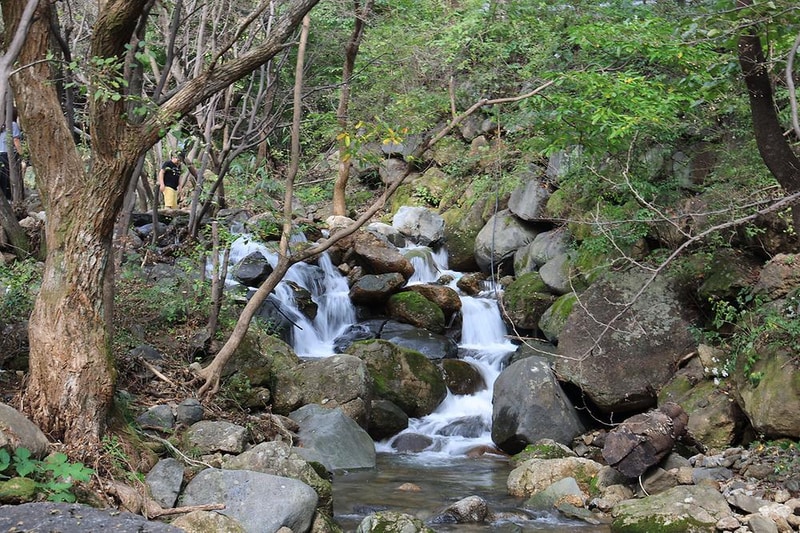 지리산리조트 글램핑 시설 사진 32