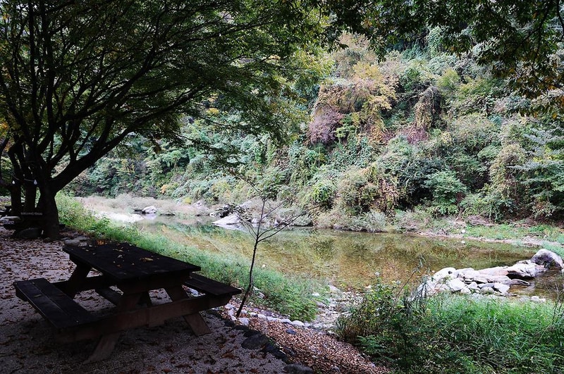 청정 캠핑장 시설 사진 5