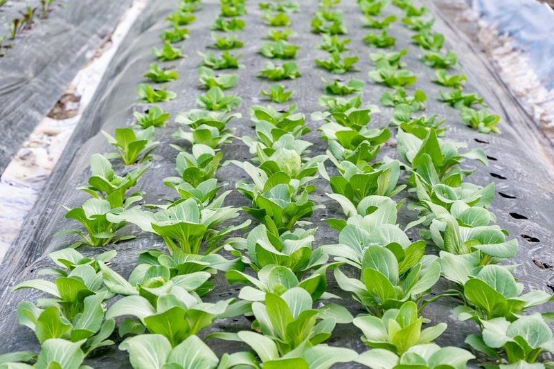 굿뜨래웰빙마을 글램핑 시설 사진 2