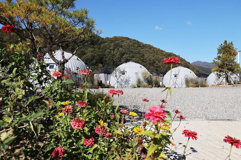 돔 아일랜드 304 시설 사진 5