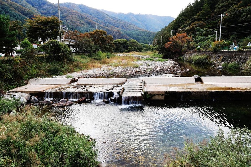가평자작나무글램핑 시설 사진 3